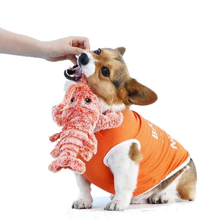 FlexiLob™ Active Dog Play Toy PawsMagics