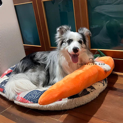 Calming Carrot PawsMagics