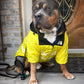 Dog Raincoat Windbreaker – Waterproof Hooded Jacket for All Sizes PawsMagics