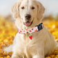 Fruit Pattern Dog Collar with Metal Pendant – Stylish & Comfortable PawsMagics