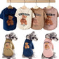Small dog wearing a warm puppy pullover sweatshirt with a cute bear pattern