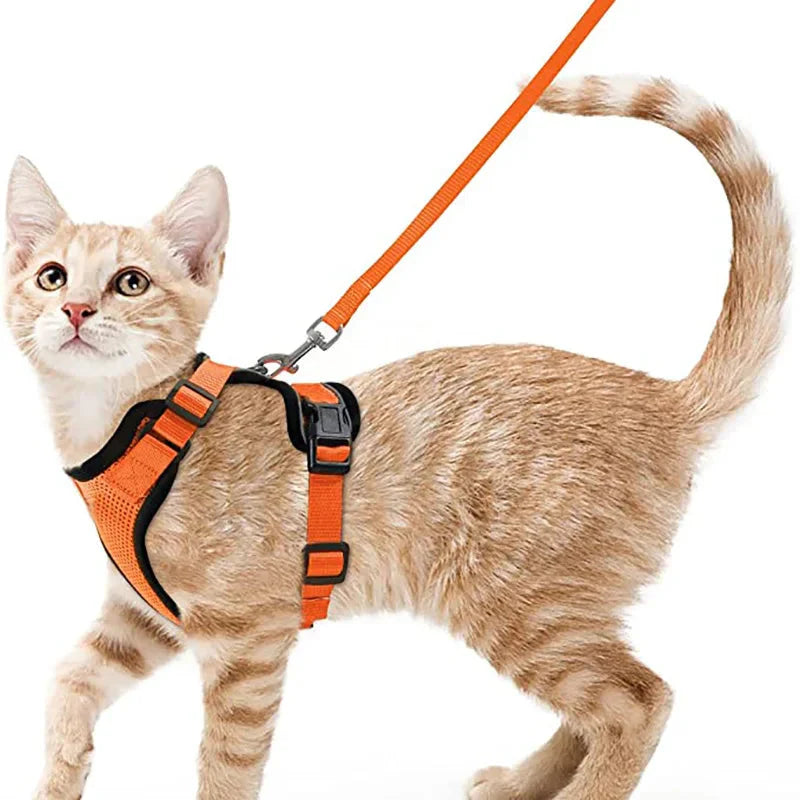 Cat Harness and Leash for Walking, Escape Proof Soft Adjustable Vest Harnesses for Cats, EasyControl PawsnHeart