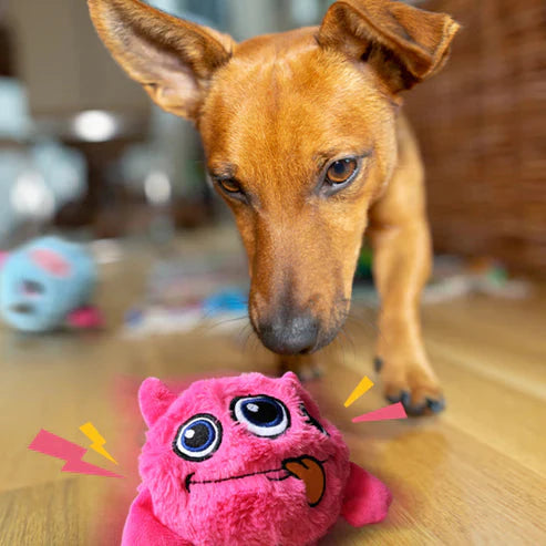 Chewie Viral Bouncing Monster PawsMagics