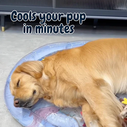 ChillTailz Water Bed™ PawsnHeart